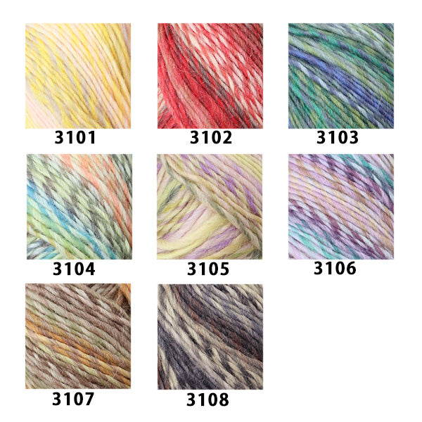 Осень / зимняя шерсть "Fantasia Clio 3101 №" Skiyarn Ski Yarn