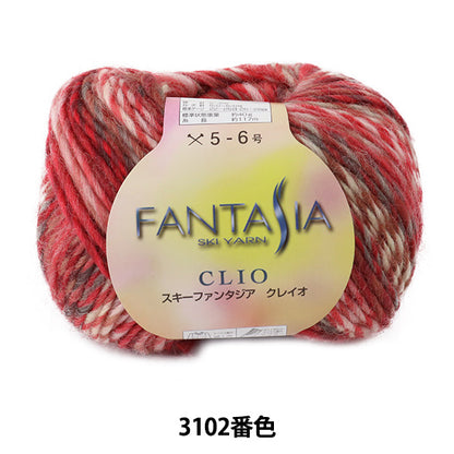 خيوط الخريف/الشتاء "FANTASIA CLIO (Fantasia CLIO) اللون 3102" خيوط التزلج SKIYARN