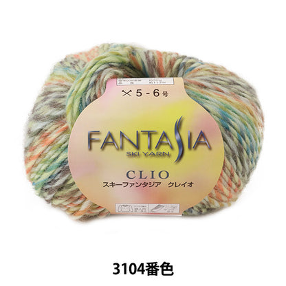 Осень и зимаПряжа "Fantasia Clio (Fantasia Clayo) 3104 Color] Skiyarn Ski Yarn