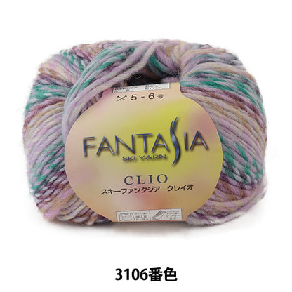 Осень / зимняя шерсть "Fantasia Clio 3106" Skiyarn Ski Yarn