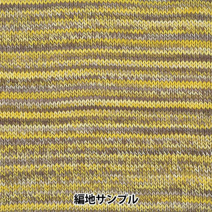 가을과 겨울털실 "Fantasia Koronis (Fantasia Colonis) 517 컬러 "Skiyarn Ski Yarn