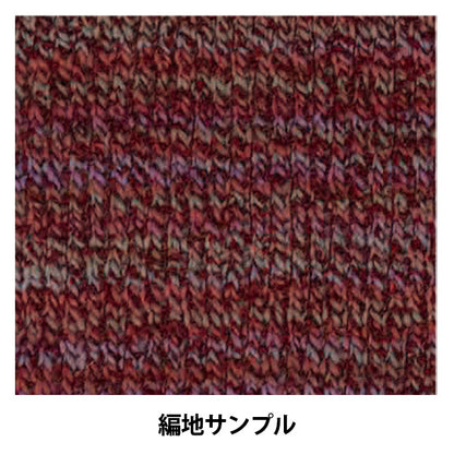 Herbst und WinterGarn"Skill Bowa 2343 Farbe" Skigarn Skigarn