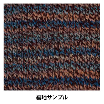 Automne et hiverpelote de laine『スキールボワ 2344番色』SKI YARN スキーヤーン