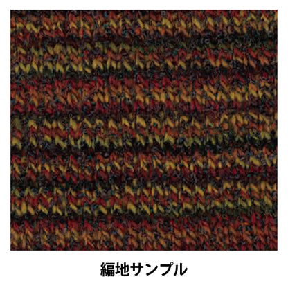 الخريف/الشتاءخيوط الغزلخيوط التزلج "Skiel Bois Color 2346" SKI YARN