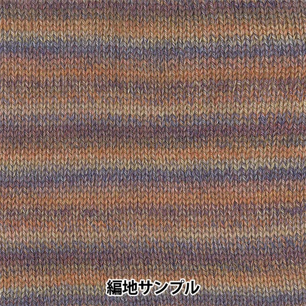 Herbst und WinterGarn "Ski -Lobel (Ski -Lappen) 8101 Farbe] Skiyarn Skigarn