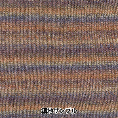 Herbst und WinterGarn "Ski -Lobel (Ski -Lappen) 8101 Farbe] Skiyarn Skigarn