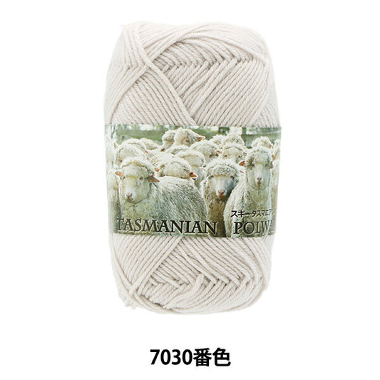 秋冬毛糸 『Ski Tasmanian Polwarth (スキータスマニアンポロワース) 7030番色』 SKIYARN スキーヤーン
