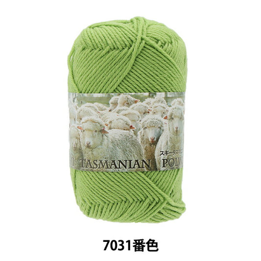 秋冬毛糸 『Ski Tasmanian Polwarth (スキータスマニアンポロワース) 7031番色』 SKIYARN スキーヤーン