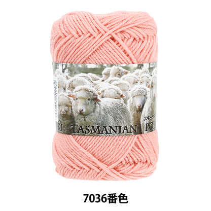 秋冬毛糸 『スキータスマニアンポロワース 7036番色』 SKIYARN スキーヤーン