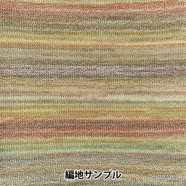 Primavera / Summer Wool "Ski Selene 1221 Color" Skiyarn Ski Yarn