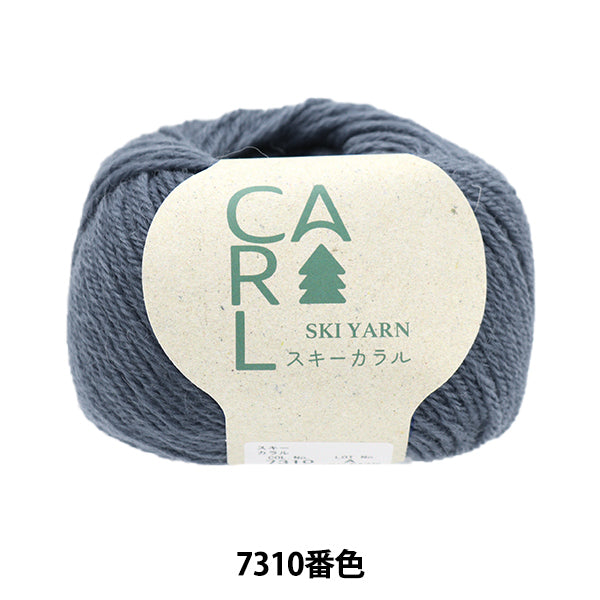 Otoño / Winter Wool "Ski Caral 7310 Color" Skiyarn Ski Yarn