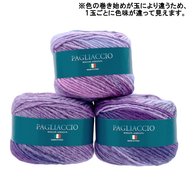 Automne / hiver laine "Paaco 703 Couleur" Skiarn Ski Yarn