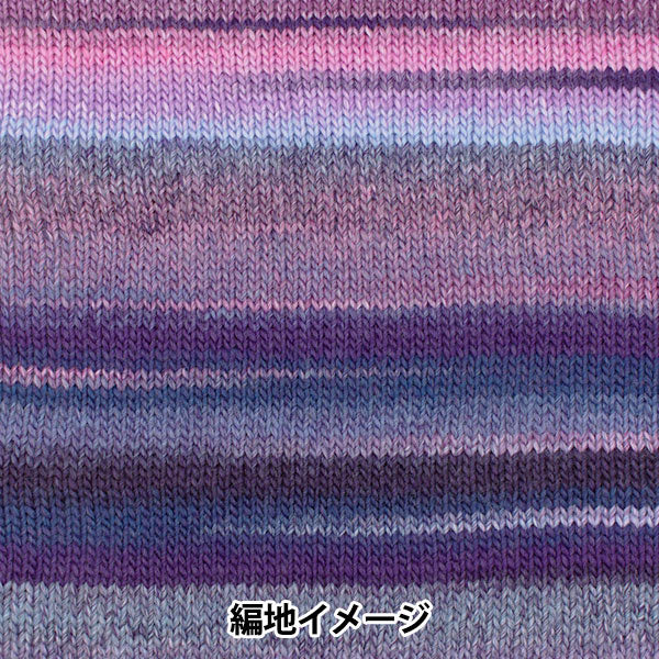 秋冬毛糸 『パイアッチョ 703番色』 SKIYARN スキーヤーン