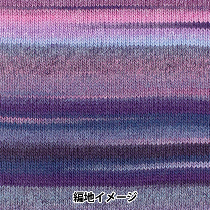 Otoño / Winter Wool "Paaco 703 Color" Skiyarn Ski Yarn