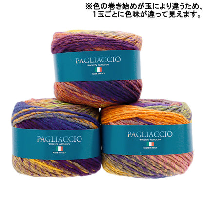 Осень / зимняя шерсть "Paaco 704 Color" Skiyarn Ski пряжа