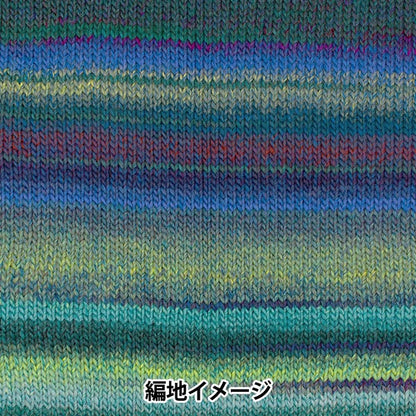 Otoño / Winter Wool "Piecho 705 Color" Skiyarn Ski Yarn