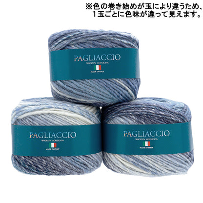 Осень / зимняя шерсть "Paaco 707th Color" Skiyarn Ski пряжа