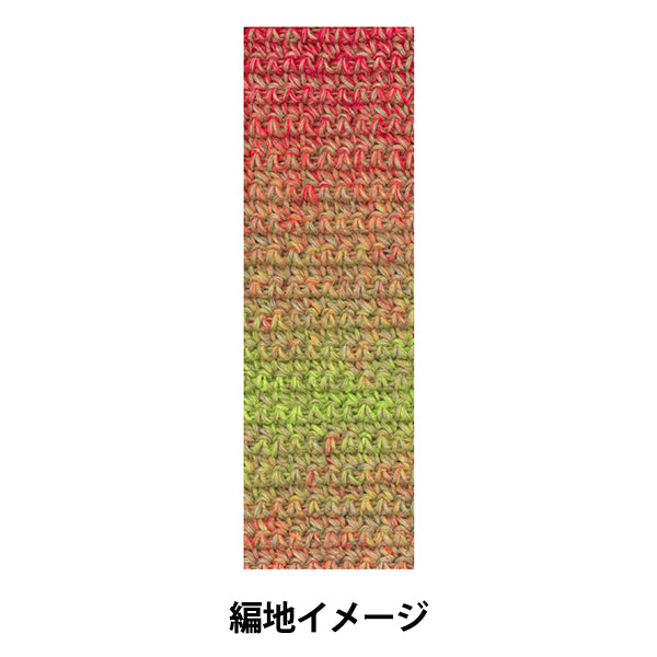 秋冬毛糸 『テラ 952番色』 SKIYARN スキーヤーン