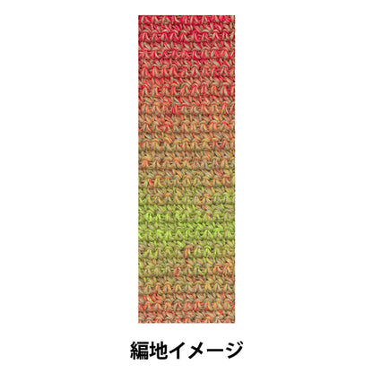 秋冬毛糸 『テラ 952番色』 SKIYARN スキーヤーン