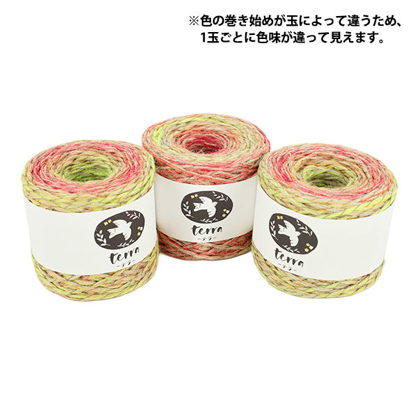 秋冬毛糸 『テラ 952番色』 SKIYARN スキーヤーン
