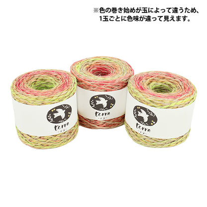 秋冬毛糸 『テラ 952番色』 SKIYARN スキーヤーン