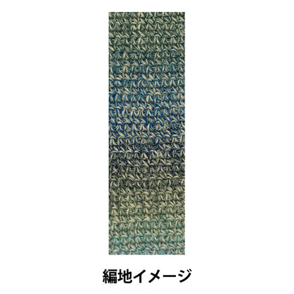 秋冬毛糸 『テラ 953番色』 SKIYARN スキーヤーン