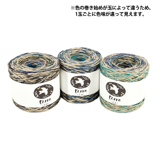 秋冬毛糸 『テラ 953番色』 SKIYARN スキーヤーン
