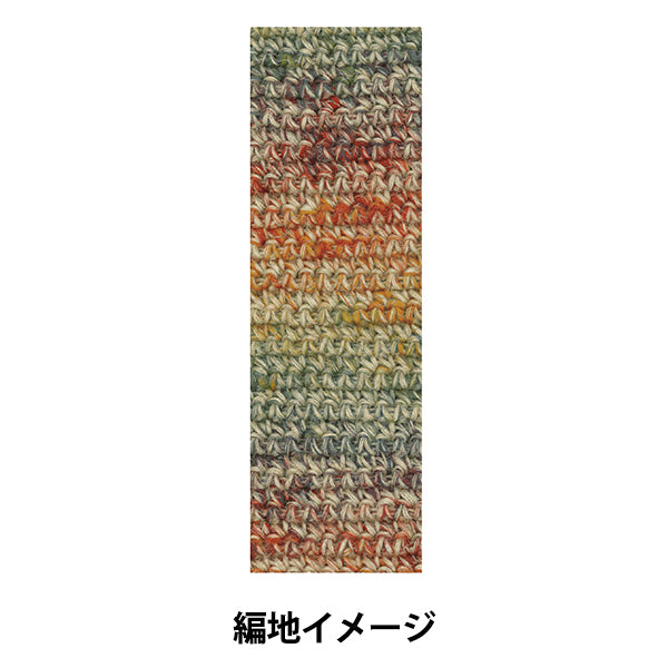 秋冬毛糸 『テラ 954番色』 SKIYARN スキーヤーン