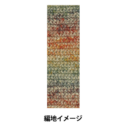 秋冬毛糸 『テラ 954番色』 SKIYARN スキーヤーン