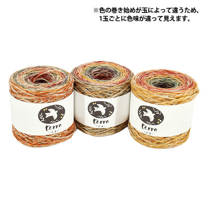秋冬毛糸 『テラ 954番色』 SKIYARN スキーヤーン