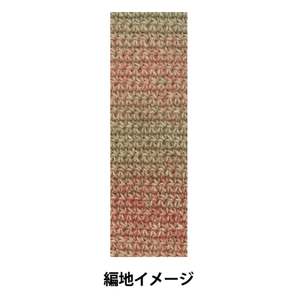 秋冬毛糸 『テラ 955番色』 SKIYARN スキーヤーン