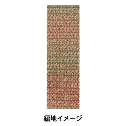秋冬毛糸 『テラ 955番色』 SKIYARN スキーヤーン