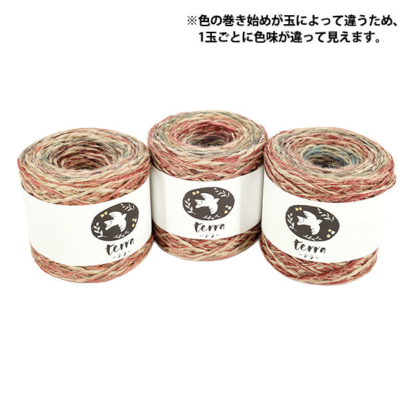 秋冬毛糸 『テラ 955番色』 SKIYARN スキーヤーン