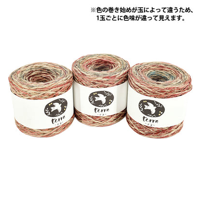 秋冬毛糸 『テラ 955番色』 SKIYARN スキーヤーン