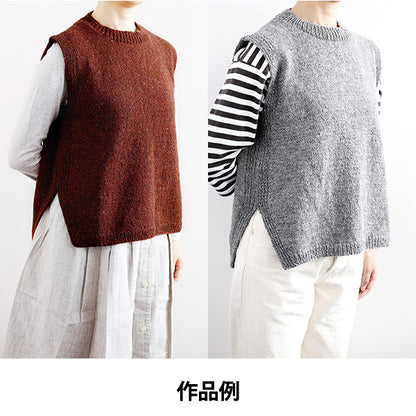 Automne et hiverpelote de laine "Shetland Wool (Shetland Wool) 9th Color Daruma DARUMA Yokota