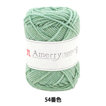 가을과 겨울털실 "Amerry 54 번째 컬러" Hamanaka