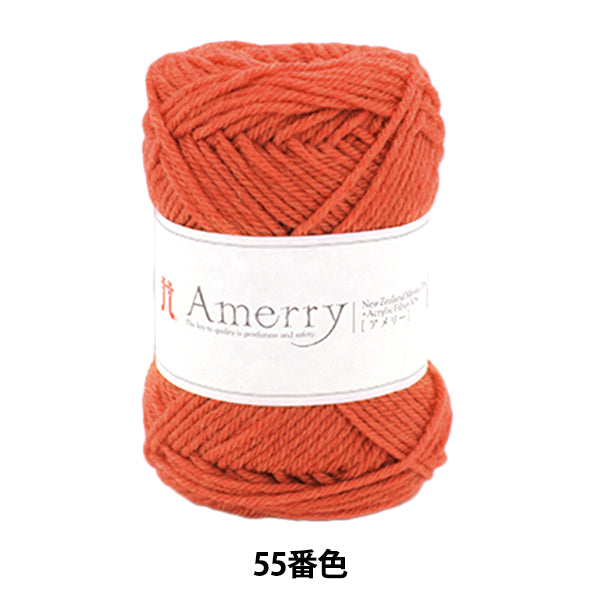 가을과 겨울털실 "Amerry 55 번째 컬러" Hamanaka