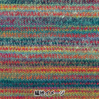 Autunno e invernoFilato "Dina 24th Color" Hamanaka