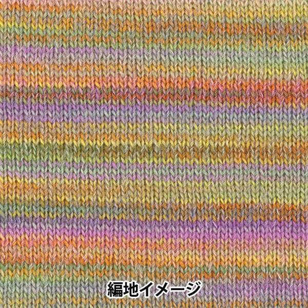 秋冬毛糸 『ディーナ 30番色』 Hamanaka ハマナカ
