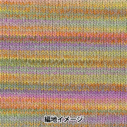 秋冬毛糸 『ディーナ 30番色』 Hamanaka ハマナカ