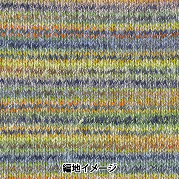 秋冬毛糸 『ディーナ 31番色』 Hamanaka ハマナカ