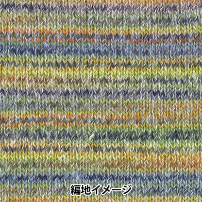 秋冬毛糸 『ディーナ 31番色』 Hamanaka ハマナカ
