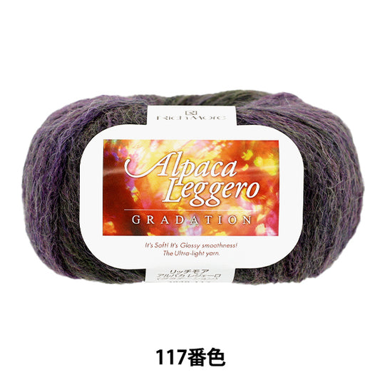 Herbst/WinterGarn "AlpakaLeggero-Abstufungsfarbe 117" RichMore RichMore
