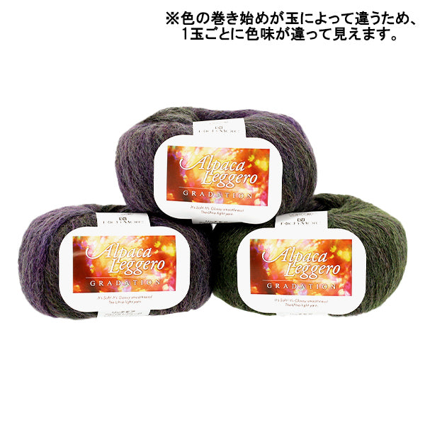 秋冬毛糸 『アルパカレジェーロ グラデーション 117番色』 RichMore リッチモア
