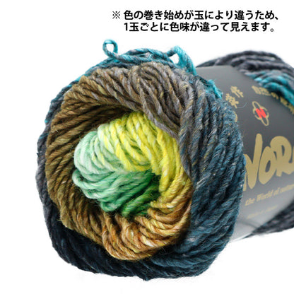 Automne / laine d'hiver "Garden de soie 535 Couleur" Noro Hidaku Noro