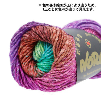 Fall and winterYarn "Silk Garden 536th color" NORO Hideaku Noro