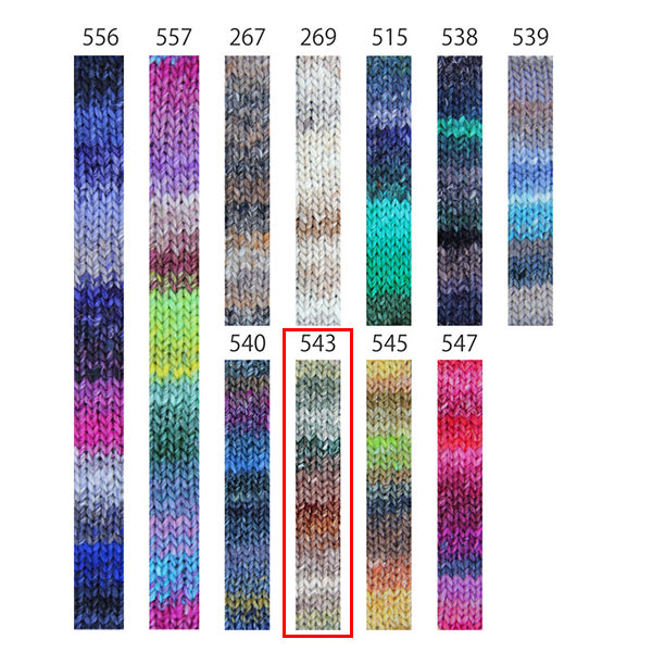 Fall/WinterYarn "Silk Garden Color 543" NORO Noro Eisaku