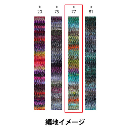 Fall and winterYarn "Iko 77th color" noro Hideyaku Noro