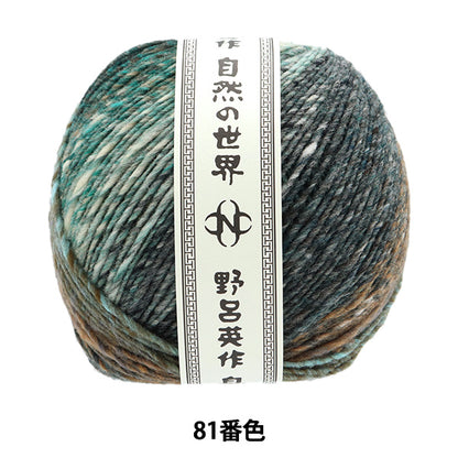 Fall and winterYarn "Iko 81st color" noro Hideyaku Noro