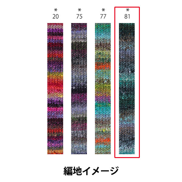 Fall and winterYarn "Iko 81st color" noro Hideyaku Noro